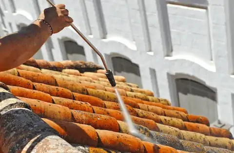 Nettoyage de toitures - Seyssins